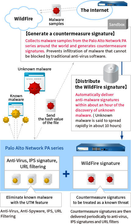 Generate Forensic Reports