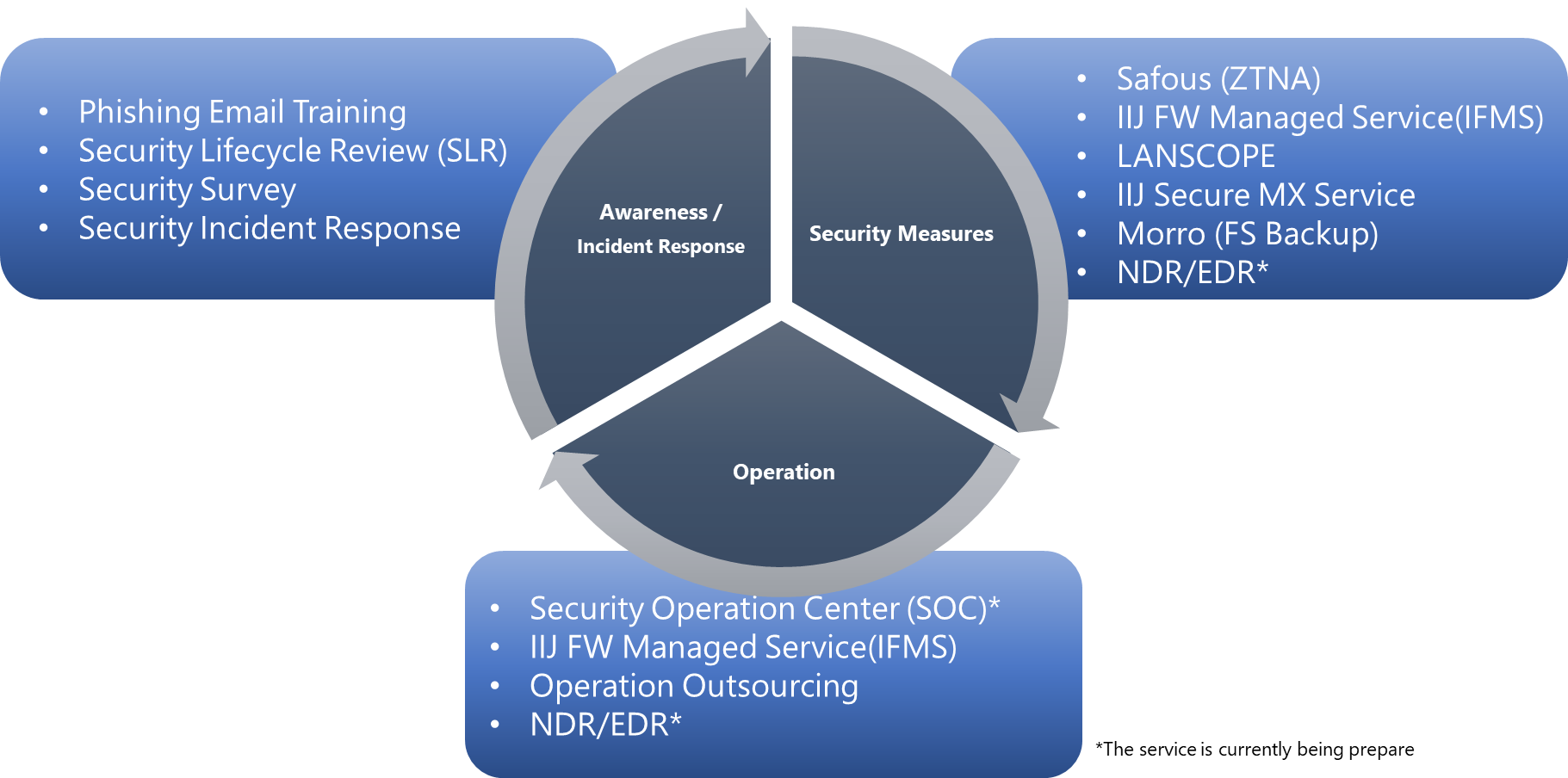 IIJ Global Solutions